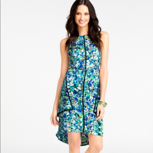 Ann Taylor Garden Floral Dress size 6 - Picture 1 of 12